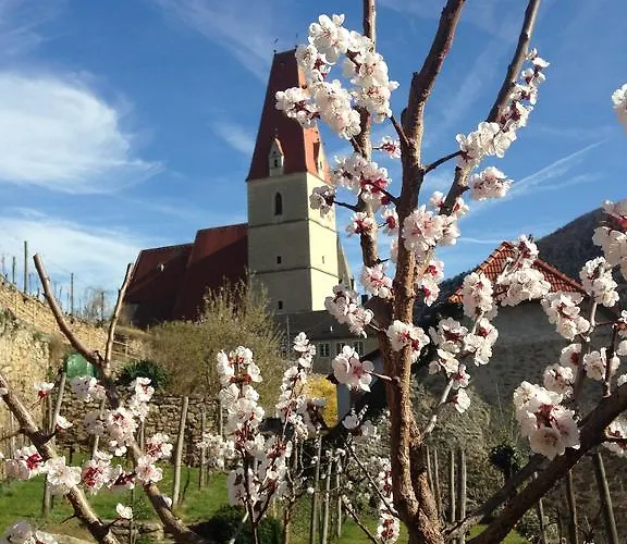 Gasthuis Gaestehaus Haiminger Ehemalig Schmelz Weißenkirchen in der Wachau