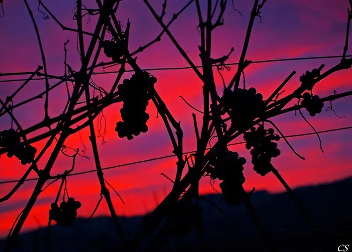 Gaestehaus Haiminger 3* Weissenkirchen in der Wachau