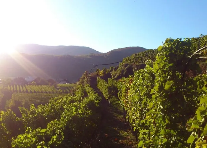 Gaestehaus Haiminger Guest house