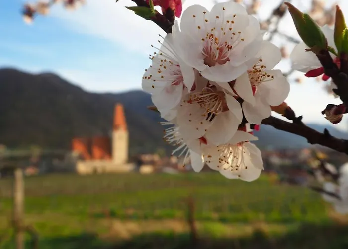 Gaestehaus Haiminger Ehemalig Schmelz 3* Weißenkirchen in der Wachau
